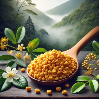 埔鹽膚木花粉示意圖